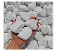 V-PREMIUM SOLUTION Galets blancs 20 kg - Pierres décoratives blanches neige pour décoration de jardin, chemins, pots de fleurs et intérieur - 4-8 cm - Thassos