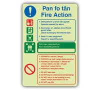 V Safety Fire Action - Your Assembly Point Is Panneau - 200 x 300 mm | Brille dans le noir | Plastique rigide triple lueur | gallois/anglais | Signalisation de sécurité incendie - Fabriqué en