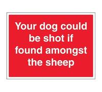 V Safety Your Dog Could Be Shot If Found Amongst The Sheep Grand paysage 400 x 300 mm Panneau de sécurité en aluminium composite 3 mm