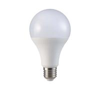 V-TAC Ampoule LED culot E27 20W (équivalent 150W) A80 - 2452 Lumen - 3000K Blanc Chaud - Ouverture du faisceau lumineux 200° - Efficacité Maximale et Économie d'Énergie