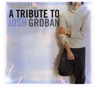 V - Tribute to Josh Groban