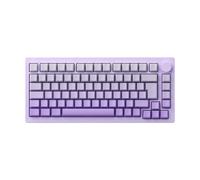 V3-SP Keyboard mécanique du boîtier en aluminium Point de joint à chaud RGB RVAB RGB Backlit Multi Mode Wired Compatible avec ISO ANSI Layout comprend des touchés latéraux imprimés(ISO PURPLE)