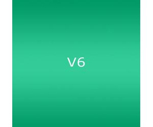V6 - Chou [Import]