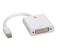 V7 - Adaptateur vidéo - Mini DisplayPort mâle pour DVI-D femelle - blanc