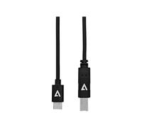 V7 - Câble USB - USB-C (M) pour USB type B (M) - USB 2.0 - 2 m - noir