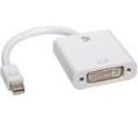 V7 CBL-MD1WHT-5E - Adaptateur de câble vidéo (Mini DisplayPort, DVI-D, mâle, mâle/femelle, femelle) couleur blanc