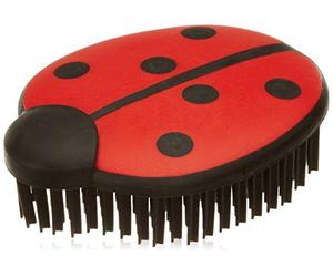 V7 Coccinelle Porte Bonheur Carl