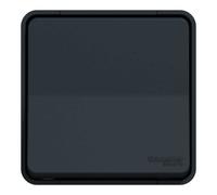 Va-et-vient - Saillie - Connexion auto - IP55 - IK08 - Gris - Mureva Styl - MUR35021 - Schneider