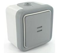 Va-et-Vient Temoin Gris Saillie/Gris - LEGRAND - Prog Plexo complet - 10A - Câblage phase distribué