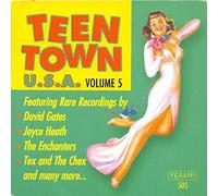 VA - VA Vol.5, Teen Town USA