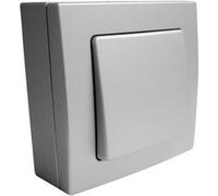 Va & Vient 10A saillie borne auto Gris - Bel'Vue