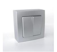 Zenitech - Double va et Vient 10A saillie Bel'Vue - Gris