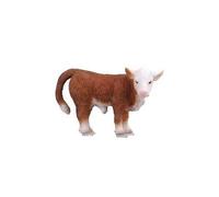 Vache - Veau Hereford