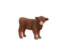Vache - Veau Highland