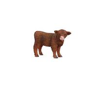 Vache - Veau Highland