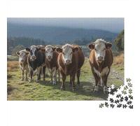 Vaches dans Le pré Puzzle 1000 Pièces Paysage Rural Puzzle pour Adultes Décoration Détente Idée Cadeau 52x38cm/1000pcs