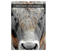 Vaches d'Aubrac (Calendrier mural 2027 DIN A3 horizontal), CALVENDO calendrier mensuel: Les vaches de la race Aubrac en Aveyron