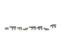 Faller Figurines 155904 - Vaches au pâturage Échelle N 8 pièces