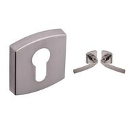 Vachette - Jeu de Rosaces Carrées (Porte d'Entrée Clé I) + Poignée de Porte ARTIS (Bec de Cane) + Poignée de Fenêtre ARTIS (Indexage 90°) - Aluminium - Finition Platine