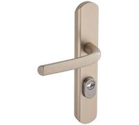 Vachette Poignée de porte blindée sur Plaque Secumax One, Version Clé I, Entraxe 195 mm, Pose Facile, en Aluminium, Protecteur de Cylindre Inox Ajustable de 5 mm, Anodisé Champagne, Garantie 10 Ans