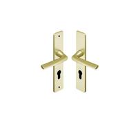 Vachette Ensemble de porte Riviera 90 BEZAULT Entraxe 195 mm Champagne - Clé I - 0072867