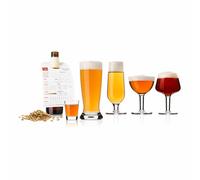 Vacu Vin Bierproben-Gläserset 5-tlg. mit Notizblock, Biergläser, Tasting Glas, Glas, Transparent, 76440604