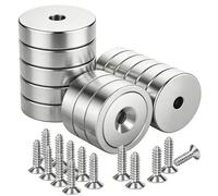 VACUBXBY 14 Pièces Aimants en Néodyme 20x6 mm Extrêmement Puissants, 10 KG Force + 14 Vis Incluses, Aimant en Pot Fraisé (Argent Brillant)