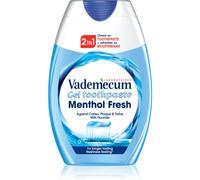 Vademecum 2 in1 Menthol Fresh dentifrice et bain de bouche 2 en 1 75 ml