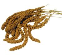 Vadigran Millet Francais En Grappes 250 Gr - Lot de 2