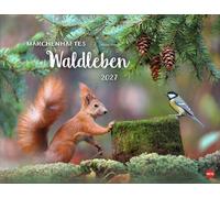 Vadim Trunov: Märchenhaftes Waldleben Posterkalender 2027: Naturkalender 2027 gestaltet mit Bildern des Naturfotografen Vadim Trunov. Fotokalender 2027 im Querformat. 44 x 34 cm.