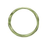 Vaessen Creative Aluminium Triangulaire 5 m x 0,5 mm x 2,8 mm Apple Green (Vert) -Fil de Fer Souple pour Loisirs Créatifs, Perlage et Fabrication de Bijoux, Taille Unique