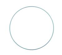 Vaessen Creative Cercle en Métal - Ø 25 cm - Cerceau Vert Menthe | Épaisseur de 3 mm, Pour attrape-rêve, broderie, décoration, art mural, macramé & DIY