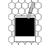 Vaessen Creative Dossier Polaroid avec Grillage 14,6 x 10,7 cm - Classeur Carterie, Scrapbooking, Journaling - Réutilisable, pour Machines de Découpe et de Gaufrage, Transparent, 17 x 8,4 x 0,5 cm