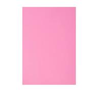 Vaessen Creative Feuilles de Mousse, Rose, Taille unique, Set de 10 Pièces