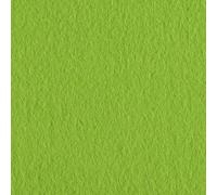 Vaessen Creative Feutre, Tissu, Vert Clair, Taille unique, Set de 10 Pièces