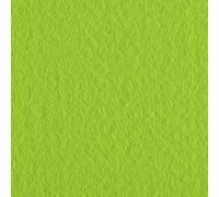Vaessen Creative Feutre, Tissu, Vert Vif, Taille unique, Set de 10 Pièces