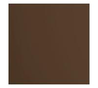 vaessen creative Florence Papier Cartonné, Brun (Noisette), 216g, Carré, 30,5 x 30,5 cm, 20 Feuilles, Surface Lisse, pour Peindre, Scrapbooking et Plus, Marron