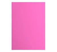 vaessen creative Florence Papier Cartonné, Rose (Bonbon), 216g, 10 Feuilles, Surface Lisse, pour Peindre, Scrapbooking et plus, DIN A4