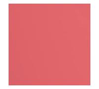 vaessen creative Florence Papier Cartonné, Rouge (Rhubarbe), 216g, Carré, 30,5 x 30,5 cm, 20 Feuilles, Surface Texturée, pour Peindre, Scrapbooking et plus, 30,5x30,5cm
