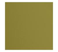 vaessen creative Florence Papier Cartonné, Vert (Acacia), 216g, Carré, 30,5 x 30,5 cm, 20 Feuilles, Surface Texturée, pour Peindre, Scrapbooking et plus, 30,5x30,5cm