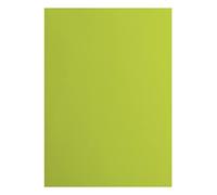 vaessen creative Florence Papier Cartonné, Vert (Citron, 216g, 10 Feuilles, Surface Lisse, pour Peindre, Scrapbooking et plus, DIN A4