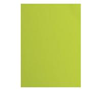 vaessen creative Florence Papier Cartonné, Vert (Citron, 216g, A4, 10 Feuilles, Surface Texturée, pour Peindre, Scrapbooking et plus, Taille Unique