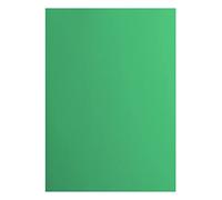 vaessen creative Florence Papier Cartonné, Vert (Émeraude), 216g, 10 Feuilles, Surface Lisse, pour Peindre, Scrapbooking et plus, DIN A4