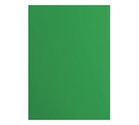 vaessen creative Florence Papier Cartonné, Vert (Holly), 216g, 10 Feuilles, Surface Lisse, pour Peindre, Scrapbooking et plus, DIN A4