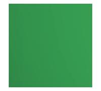 vaessen creative Florence Papier Cartonné, Vert (Holly), 216g, Carré, 30,5 x 30,5 cm, 20 Feuilles, Surface Lisse, pour Peindre, Scrapbooking et Plus