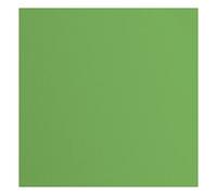 vaessen creative Florence Papier Cartonné, Vert (Mousse), 216g, Carré, 30,5 x 30,5 cm, 20 Feuilles, Surface Texturée, pour Peindre, Scrapbooking et plus, 30,5x30,5cm