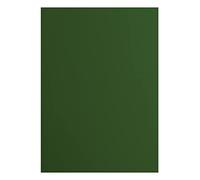 vaessen creative Florence Papier Cartonné, Vert (Pin), 216g, 10 Feuilles, Surface Lisse, pour Peindre, Scrapbooking et plus, DIN A4