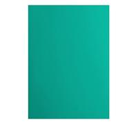 vaessen creative Florence Papier Cartonné, Vert (Spa), 216g, 10 Feuilles, Surface Lisse, pour Peindre, Scrapbooking et plus, DIN A4