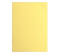 Vaessen Creative Papier Cartonné A4-25 pcs - Asparagus (Jaune) - Feuilles Colorées Texturées 216 g - pour Scrapbooking, Cartes & DIY