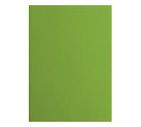 Vaessen Creative Papier Cartonné A4-25 pcs - Frog (Vert) - Feuilles Colorées Lisses 216 g - pour Scrapbooking, Cartes & DIY